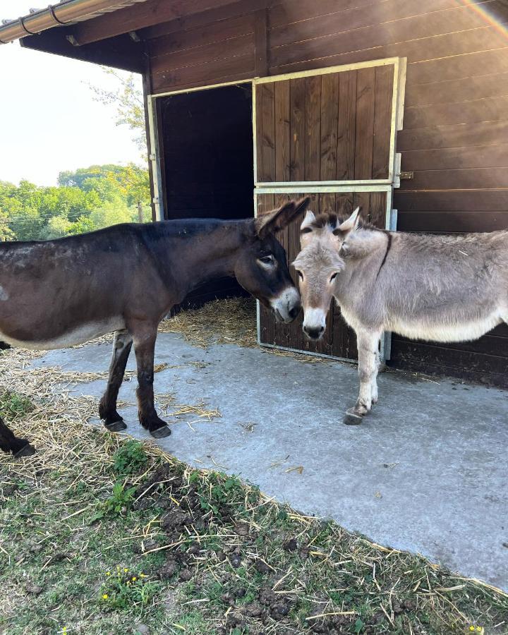 Genappe La Ferme Saint Pierre De Glabaisヴィラ エクステリア 写真